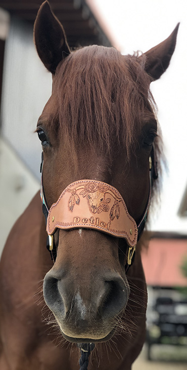 Bronc Leather Nose Band