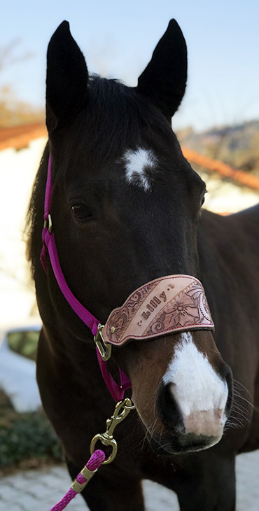 Halter Nose Band aus Leder