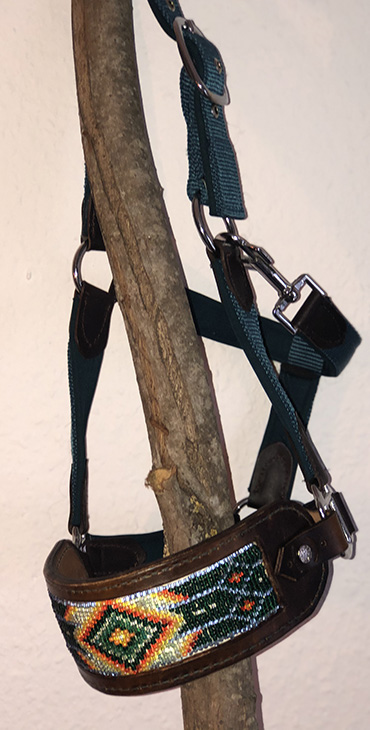 Halter Nose Band aus Leder
